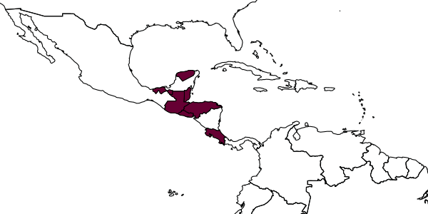 map of Parachartergus aztecus     Willink, 1959